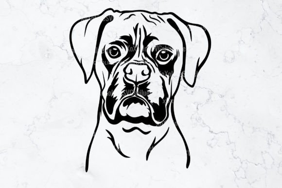 Download Boxer SVG Silhouette Outline Clipart - Premium Resources